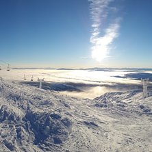 Gov&auml;der p&aring; skutan. Foto: Martin &Aring;str&ouml;m.
