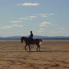 Min h&auml;st jass ocj jag. &Aring;kare: Veronica.