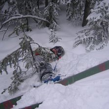 Haha, h&auml;rlig dag i Trysil med m&aring;nga vurpor. Tror. Foto: Josefine Bostr&ouml;m. &Aring;kare: Malin Thorildsson.