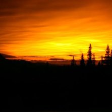 Foto: Richard Karlsson. &Aring;kare: Den feta sol-guden.