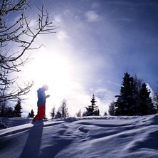 Wawa Backdoor. Foto: Emelie Persson. &Aring;kare: Christine Persson.