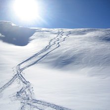 Foto: M&aring;rten Gabrielsson. &Aring;kare: Bl.a. M&aring;rten Gabrielsson.