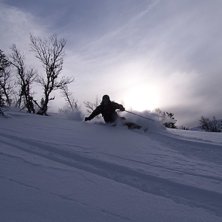 Foto: Daniel Nilsson. &Aring;kare: Jerker Aspg&aring;rd.