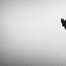 Foto: Sven Hamberg. &Aring;kare: Kristofer Fahlgren.