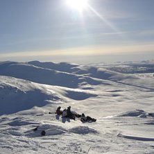 softar i bit ner i backen. Foto: vet ej :S. &Aring;kare: g&auml;nget :).