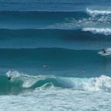 Foto: Johan &Ouml;hlund.