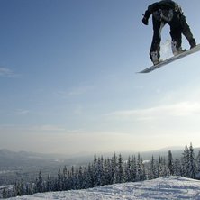 Fronside nosebone. Foto: Per Persson. &Aring;kare: Andreas Wittberg.