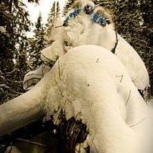 en h&auml;rlig rotv&auml;lta under m&auml;rta express. jocke o. Foto: Joakim Hyland. &Aring;kare: Alric Ljunghager.