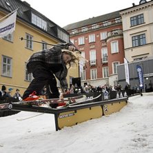 Winter Show i Kungstr&auml;dg&aring;rden 2014.. Foto: Hedda Berander.