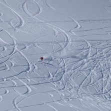 Foto: Andreas H&ouml;jvall. &Aring;kare: Alexander Engvall.