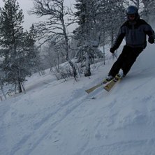 &aring;ker lite skogs&aring;kning. Foto: Wiktor skoglund. &Aring;kare: Samuel uhrdin.