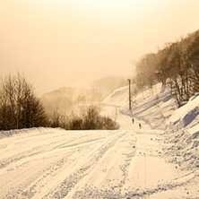 Foto: Johan Karlsson.