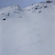 Kicking Horse Foto