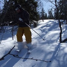 Sjukt goo dag 1 april :P hitta kall puder i skogen. Foto: Erik Gavling. &Aring;kare: Johan Tuovinen.