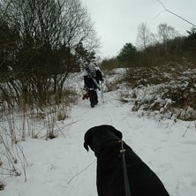 Foto: Hanna Hedvall.