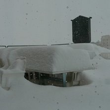 Sn&ouml;&ouml;&ouml;!.