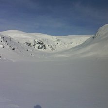 Foto: Fredrik Schunnesson.