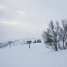 Det sn&oslash;r, det sn&oslash;r :D 
Den nydelige sn&oslash;en forst.