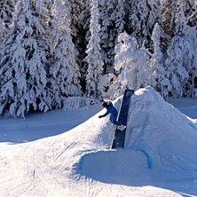 Foto: Ida Str&ouml;mgren. &Aring;kare: Anna Lov&eacute;us.