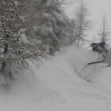 Efter att det sn&ouml;at 80 cm p&aring; ett dygn hade vi de. Foto: Anders Hans&eacute;n. &Aring;kare: Jens Browaldh.