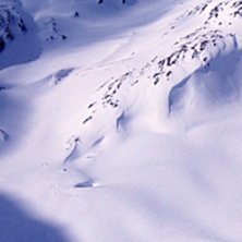 Foto: Fredrik Bois.