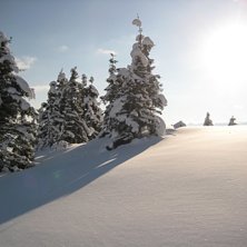 Foto: Kristopher Nygren.