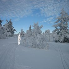 va inne &aring; titta p&aring; lite gamla bilder och hitta d. Foto: jag. &Aring;kare: rAnodm.