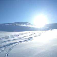 Heliskiing i Abiskoalperna. Foto: Mountain Man.