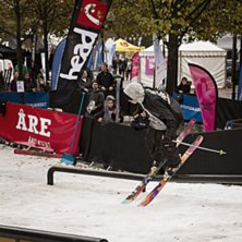 Winter Show i Kungstr&auml;dg&aring;rden 2014.. Foto: Hedda Berander.