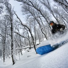 &Aring;re 2015 - @annakkarlstrom. Foto: Tobias Nordin. &Aring;kare: Anna Karlstr&ouml;m.