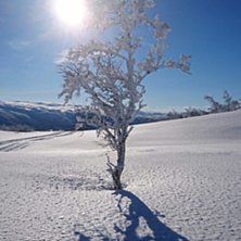 Dagens forhold 19.04.17
Nedfartene er ogs&aring; i dag .