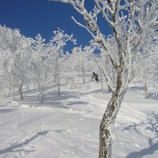 Foto: M&aring;rten Amberg. &Aring;kare: Mats Nystam.