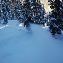 Foto: Sofia Sk&ouml;ld. &Aring;kare: Johan Sk&ouml;ld.