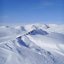 Foto: Amanda Forsman.