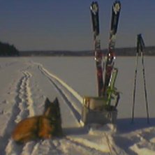 &Aring;k inte fet telisar p&aring; sj&ouml;n om du inte har drag. Foto: Anders Pettersson. &Aring;kare: Trixa/Anders.