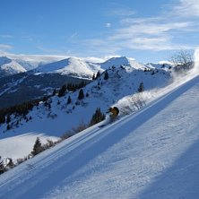 Underbart solig dag! Citat Asbj&ouml;rn &amp;quot;Slit. Foto: Erik Lidas Lidstr&ouml;m. &Aring;kare: Magnus Bellini.