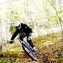 H&ouml;stl&ouml;v. Foto: Alexander Br&auml;nnk&auml;rr. &Aring;kare: Bj&ouml;rn Yrjans.