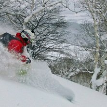 Higashi One in Great Pow!. Foto: Henke Liljeqvist. &Aring;kare: R. Hortlund.