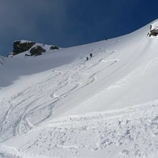 Foto: Cajsa-Malin Sk&auml;rstr&ouml;m.