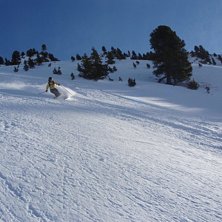 Foto: Michelle Stensson Larsson. &Aring;kare: Linda Persson.