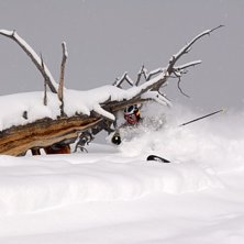 Foto: Pelle Gustavsson. &Aring;kare: Hans H&ouml;rfelt.