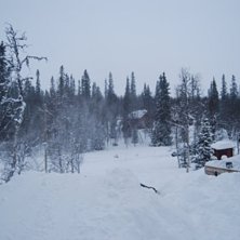 .... Foto: algot olsen. &Aring;kare: victor white.