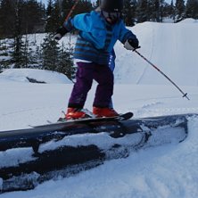 &Aring;kare: Albin Steen.