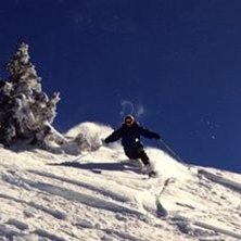 Foto: Mattias Johansson. &Aring;kare: Cecilia Borestr&ouml;m.