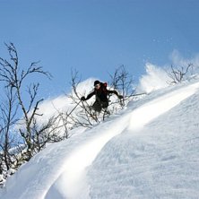 Foto: Fredrik Belfrage. &Aring;kare: Stephan Terning.