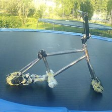 studsmatta hojen=)
. Foto: jag.