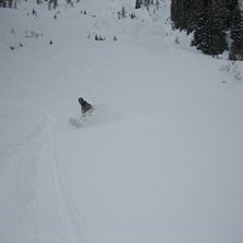 Foto: Marcus Jarl&ouml;. &Aring;kare: Tobias Rydberg.