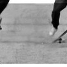 ollie beskrivning gjord till ett skolarbete.. Foto: David Samuelsson. &Aring;kare: David Samuelsson.