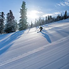 Dr&oslash;mmeforhold!
.