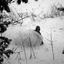 vi var ute och tog vara p&aring; den sn&ouml;n som kom . Foto: August Tynong. &Aring;kare: Daniel.